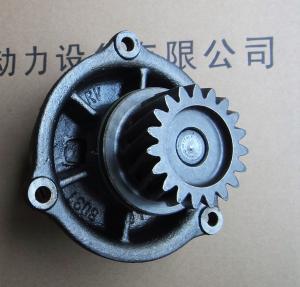 Quality Italy IVECO diesel engine parts，Iveco generator accessories,water pump for Iveco ,500350785 wholesale