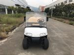 Installed With Plastic Cargo Box Small Electric Golf Carts 6 Seats Without Car