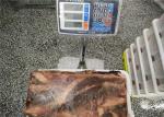 AAA Grade BQF Freezing 5kg Frozen Yellowfin Tuna Meat