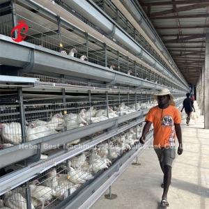 Quality Poultry Farm Computer Control Automatic Chicken Cage Equipment Modern Sandy wholesale