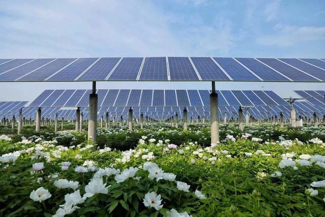 Array Solar Panel Tracker System Position 1 Axis Solar Tracking System
