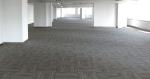 Magnetic Floor