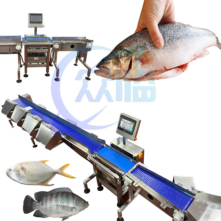 121pcs/min Fish Weight Grader Fish Weighing And Sorting Machine For Aquatic Environment