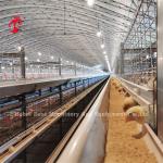 Commercial Broiler Chicken Poultry Meat Battery Cage System Ada
