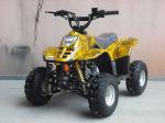 ATV products 110cc,125cc