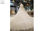 Luxury Champagne Ladies Bridal Gown , Tulle Lantern Long Sleeve Bridal Dresses