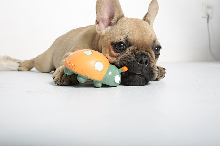 Snail Ultra Durable Dog Toys For Small Dogs Puppy 10cmx5cmx7cm