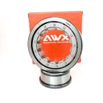 Single Row Cylindrical Roller Bearings NJ205 NJ309UC NJ130 NJ2311 N1006 N1064