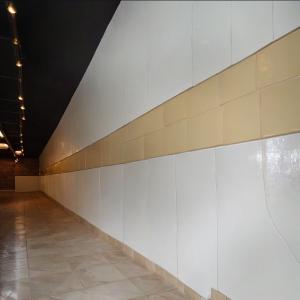 Quality Elegant Sophisticated Vitreous Enamel Panel for Luxury Interiors wholesale