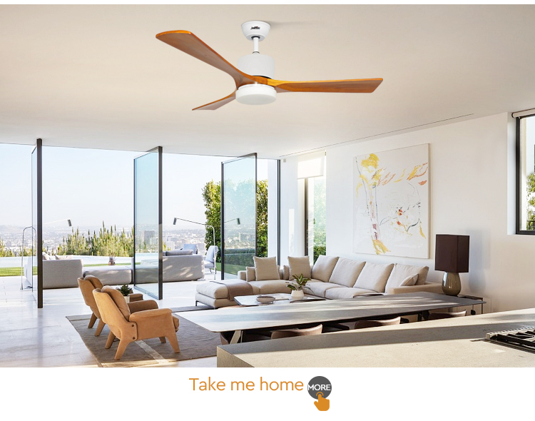 LED Ceiling Fan Decorative Lighting with Electric DC Motor and Remote Control Function