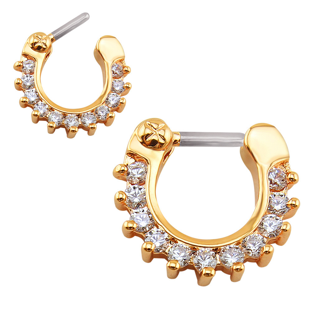 16G Nose Piercing Ring Indian Nose Septum Ring Clicker Nose Rings Piercing Body Jewelry Hoops Helix Piercing Ear Cartila