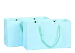 Multiple Color Plain Gift Bags , Printed Merchandise Bags For Cloth Packaging