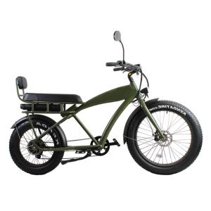Quality Electric Dirt Bike for 2 Riders 48V 13Ah City Cruising Fat Tire Beach Cruiser e Bike wholesale
