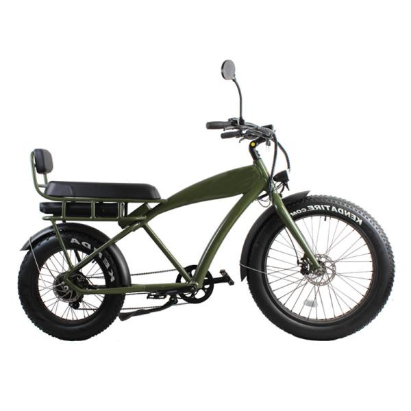 Electric Dirt Bike for 2 Riders 48V 13Ah City Cruising Fat Tire Beach Cruiser e
