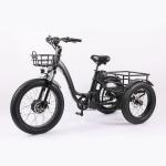 High Capacity Family Cargo Bike with Torque 80-90 Nm and Rear Carrier Battery