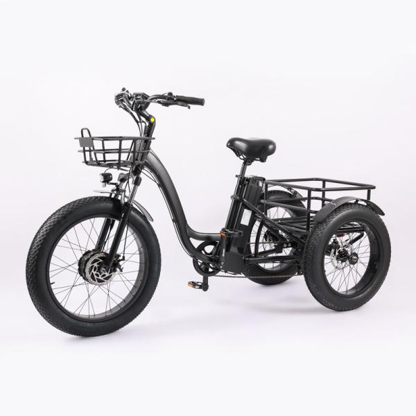 High Capacity Family Cargo Bike with Torque 80-90 Nm and Rear Carrier Battery
