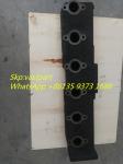 Top Cummins Genuine Engine Parts 6CT 3922423 3922935 3912106 3921482