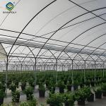 4 Seasons Agricutural Type Blueberry Greenhouse For Planting Single Layer