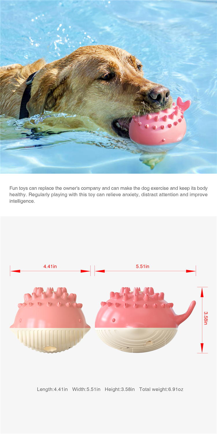 Hot Sale New Little Crocodile Spray Toy Water Dog Toy For Summer Dogs