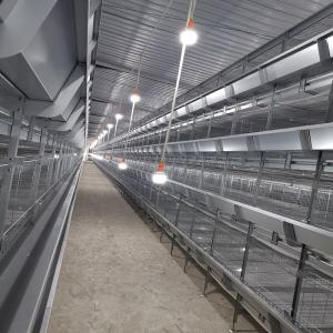 Quality H440mm Manure Cleaning Q235 Steel Baby Chick Cage 17birds For Poultry wholesale