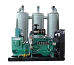 Biogas generator for biogas plant power generating