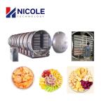 Industrial Dehydrator Freeze Drying Equipment Vacuum Low Temperature