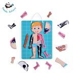Human Body Educational Toys Human Anatomy Puzzle To Learn Body Parts for Kids