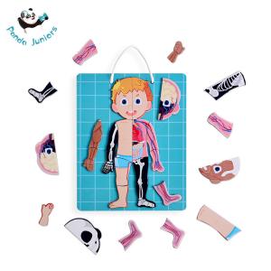 Quality Human Body Educational Toys Human Anatomy Puzzle To Learn Body Parts for Kids wholesale