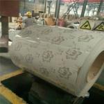 FLOWER/WOODEN /ppgi/PPGL Color Coated Steel for Roofing Sheet/ Interior