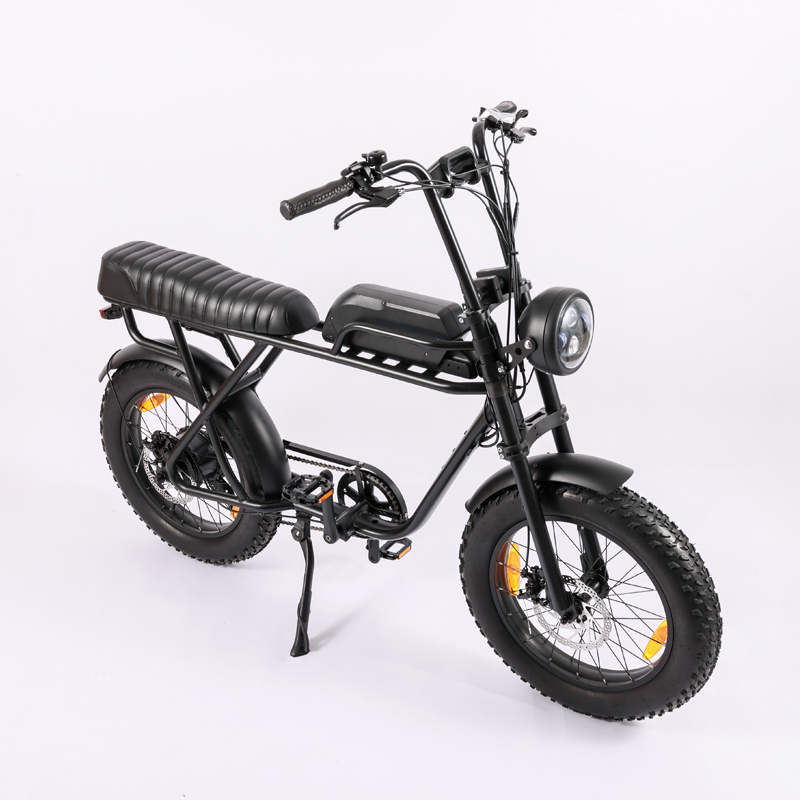 48V1000W Motor Full Suspension Shock Electric Retro Bike with Customised Beach Bikes Cruisers