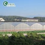 Multi-Span Agricultural Greenhouses Hydroponic Aeroponic Tower Garden for Film