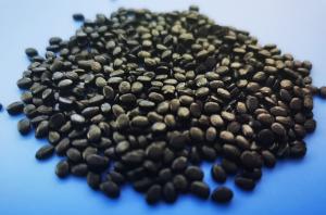 Quality Extrusion Molding Carbon Black Masterbatch LDPE Carrier Non Toxic wholesale