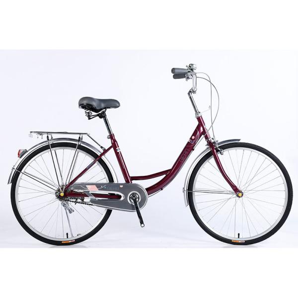 Custom Steel Frame Street Urban City Bike 26 For Women And Men In European