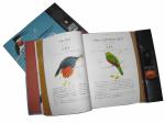 200pp Custom Book Offset Printing Services Hardcover Magazine Catalogue Matte