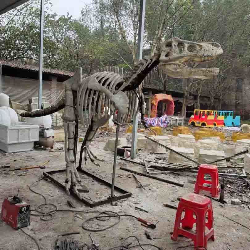 Exhibition Jurassic Park Dinosaur Skeleton , Dinosaur Bone Replicas
