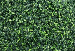 Quality Fresh IQF Frozen Vegetables , High Grade Quick Freezing Chopped Spinach wholesale