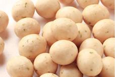 Quality New Arrival Product Seaweed Wasabi Peanuts Coated Roasted Snacks wholesale