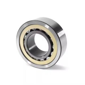 Quality NJ317ECM Cylindrical Roller Bearings (NJ317E.M1 NJ317EM NJ317M Available) wholesale