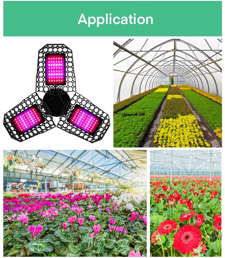 Foldable E27 E26 8000lm LED Grow Light For Seedlings Flower Hydroponic