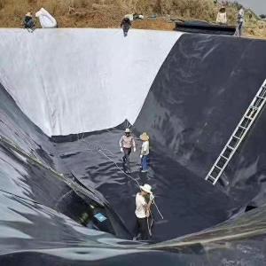 Quality 0.1mm 3mm HDPE Geomembrane Pond Liner for Fish Shrimp Farm 100% Virgin HDPE Material wholesale