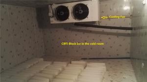 Quality Water Cooling Commercial Ice Block Machine 10 Tons / Day BBI100 For Fishing Business wholesale