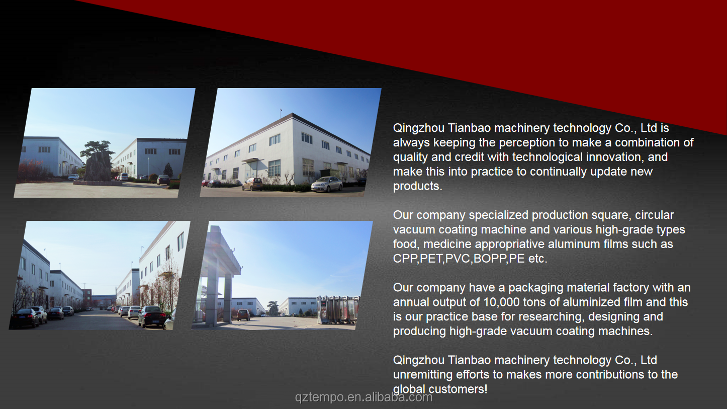Film Pet Cpp Opp Bopp Vacuum Metallizer for Plastic Electric Coating Materials Provided