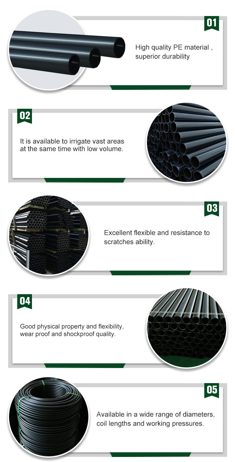 Upgrade Your Agriculture Irrigation System with Black PE Pipe and Core Components Pump
