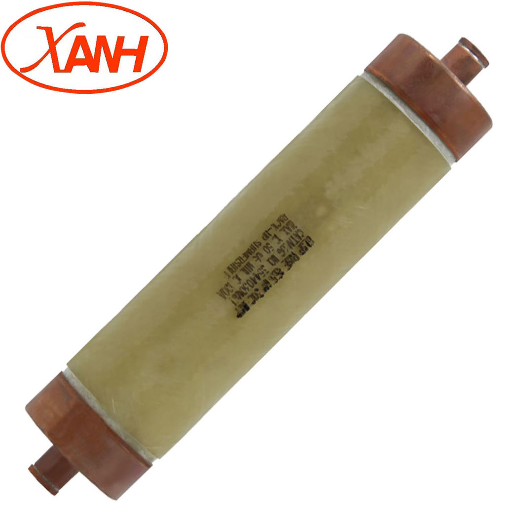 Bay-O-Net Tap Changer Switch Fuse for Oil Transformer Xrnt4-40.5/10