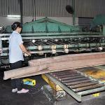 Decoration Natural Teak Wood Veneer Flat Cut Crown Grain 2050-3200mm Length