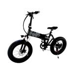 Battery Powered 20 Inch Fat Tire Electric Bike