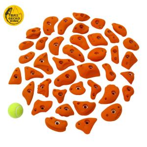 Quality Economical Adult Training Bouldering Wall Rock Climbing Holds for Climber Trainning wholesale