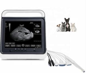 Quality Large Touch Screen 3.5MHz Portable Dog Ultrasound Machine / Animal Ultrasound Equipment wholesale