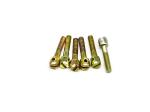 Electric Meter Screws Thread Stainless Steel Machine Screws Ironplated M3x8