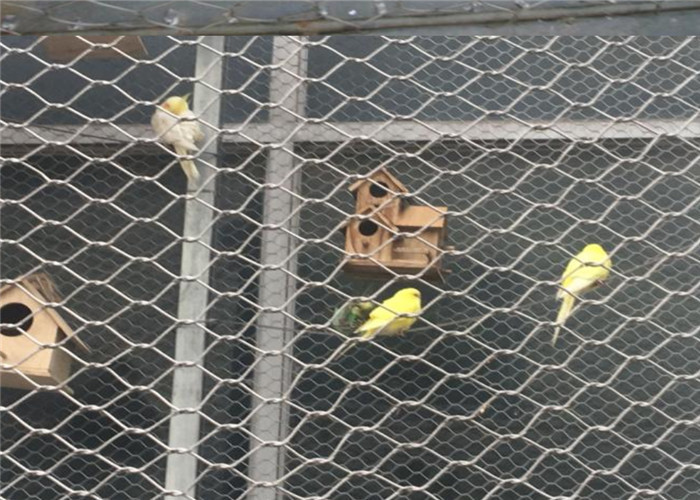Parrot Exhibit Protection 20MM Stainless Steel Wire Rope Mesh